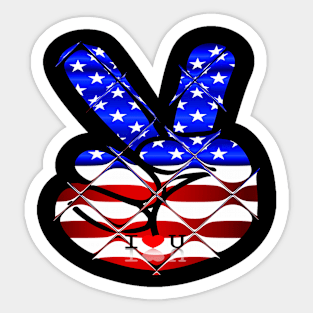 Flag usa Sticker